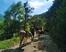 Photo Sur le chemin - Photo 1