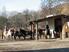 Photo Centre Equestre EquiSoleil à Veynes - Photo 1