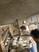 Photo La Ferme du Forest_Montbrand - Photo 3