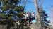 Photo Accrolac Parcours aventure Veynes - Photo 3
