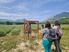 Photo The Hautes Baronnies lavender fields_Nossage-et-Bénévent - Photo 6