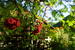 Photo Maison forestière ONF de Chaudun - Photo 6