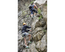 Photo Via Ferrata avec Eau Vive Passion - Photo 0